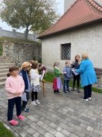 IMG 7479 2